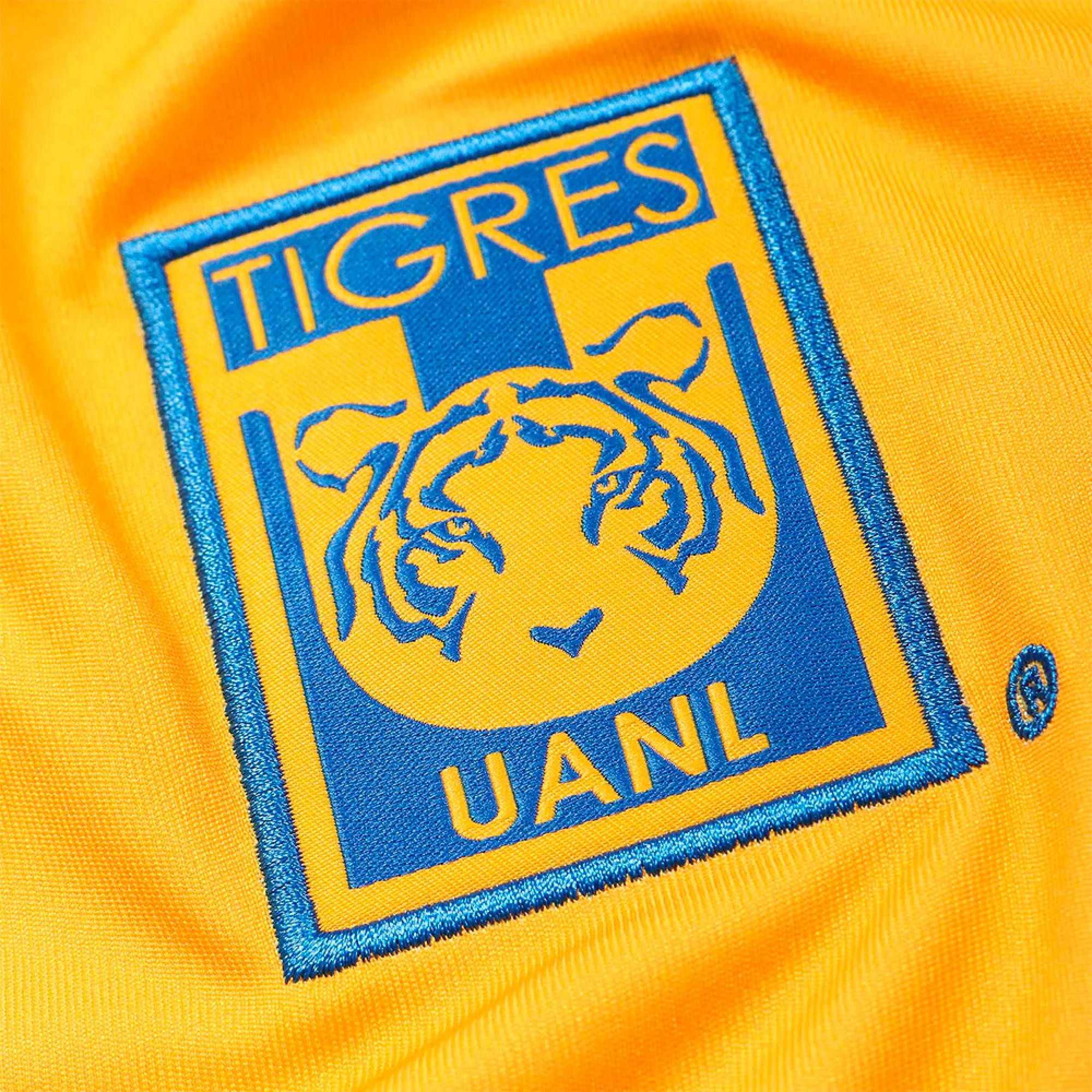 IM5459 JERSEY LOCAL TIGRES 24/25 JUVENIL - Image 4